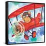 Action Bear-Scott Nelson-Framed Stretched Canvas