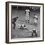 Action During a Game Between the Brooklyn Dodgers and the Milwaukee Braves at Ebbet's Field-Ralph Morse-Framed Premium Photographic Print