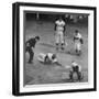 Action During a Game Between the Brooklyn Dodgers and the Milwaukee Braves at Ebbet's Field-Ralph Morse-Framed Premium Photographic Print