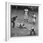 Action During a Game Between the Brooklyn Dodgers and the Milwaukee Braves at Ebbet's Field-Ralph Morse-Framed Premium Photographic Print