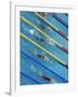 Action During Women's Backstroke Race, Athens, Greece-Paul Sutton-Framed Photographic Print