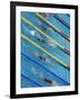 Action During Women's Backstroke Race, Athens, Greece-Paul Sutton-Framed Photographic Print