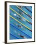 Action During Women's Backstroke Race, Athens, Greece-Paul Sutton-Framed Photographic Print
