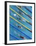 Action During Women's Backstroke Race, Athens, Greece-Paul Sutton-Framed Photographic Print