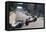 Action from the Monaco Grand Prix, 1968-null-Framed Stretched Canvas