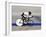 Action of Female Cyclist Competing on the Velodrome-null-Framed Photographic Print