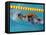 Action of Female Freestyle Swimmer, Athens, Greece-Paul Sutton-Framed Stretched Canvas