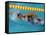 Action of Female Freestyle Swimmer, Athens, Greece-Paul Sutton-Framed Stretched Canvas