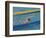 Action of Male Backstroke Swimmer, Athens, Greece-Paul Sutton-Framed Photographic Print