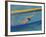 Action of Male Backstroke Swimmer, Athens, Greece-Paul Sutton-Framed Photographic Print