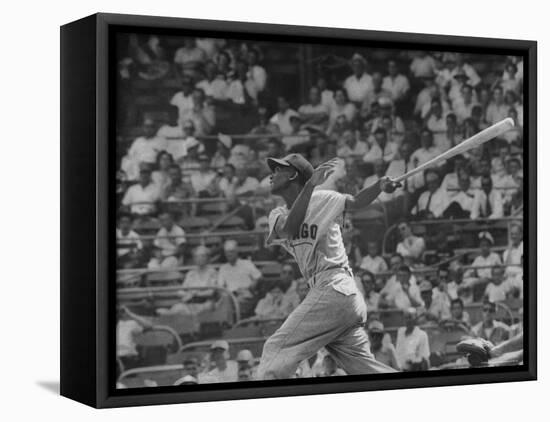 Action Shot of Chicago Cub's Ernie Banks, Following Direction of Baseball Resulting from His Hit-John Dominis-Framed Stretched Canvas