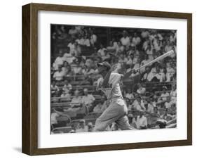 Action Shot of Chicago Cub's Ernie Banks, Following Direction of Baseball Resulting from His Hit-John Dominis-Framed Premium Photographic Print