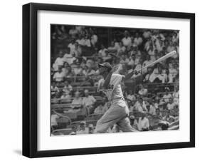 Action Shot of Chicago Cub's Ernie Banks, Following Direction of Baseball Resulting from His Hit-John Dominis-Framed Premium Photographic Print