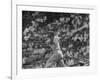 Action Shot of Chicago Cub's Ernie Banks, Following Direction of Baseball Resulting from His Hit-John Dominis-Framed Premium Photographic Print