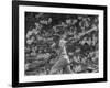 Action Shot of Chicago Cub's Ernie Banks, Following Direction of Baseball Resulting from His Hit-John Dominis-Framed Premium Photographic Print