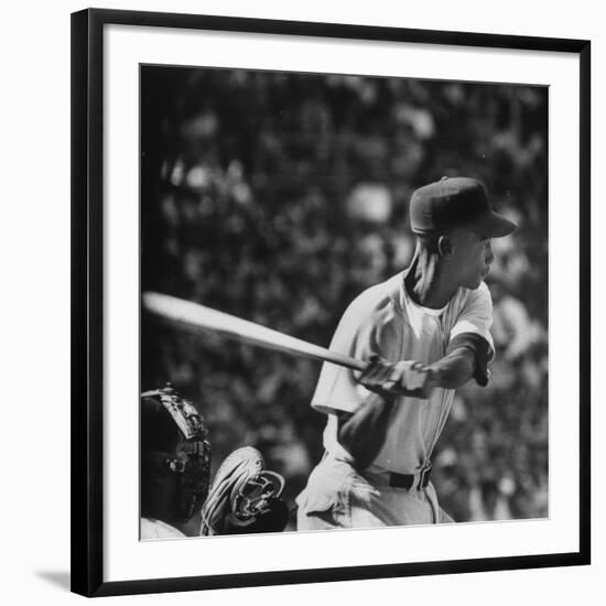 Action Shot of Chicago Cub's Ernie Banks, Preparing to Smack the Incoming Baseball with His Bat-John Dominis-Framed Premium Photographic Print