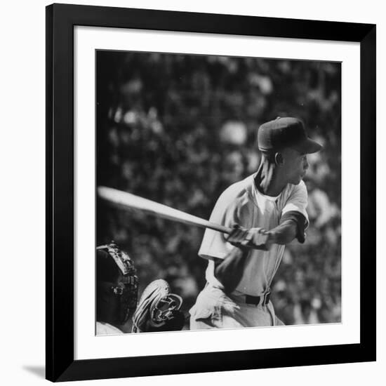 Action Shot of Chicago Cub's Ernie Banks, Preparing to Smack the Incoming Baseball with His Bat-John Dominis-Framed Premium Photographic Print