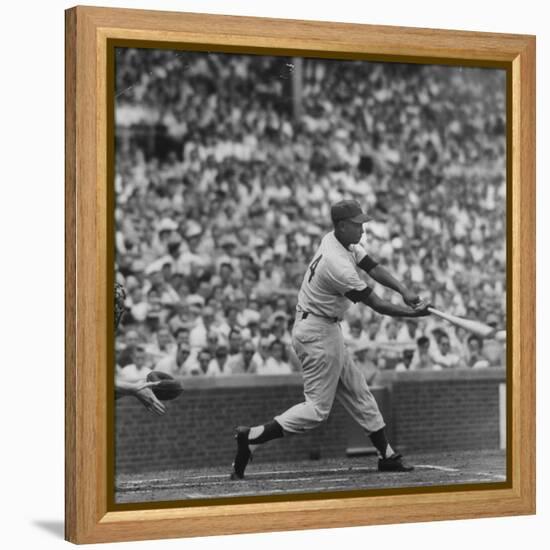 Action Shot of Chicago Cub's Ernie Banks Smacking the Pitched Baseball-John Dominis-Framed Stretched Canvas