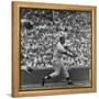 Action Shot of Chicago Cub's Ernie Banks Smacking the Pitched Baseball-John Dominis-Framed Stretched Canvas