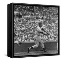 Action Shot of Chicago Cub's Ernie Banks Smacking the Pitched Baseball-John Dominis-Framed Stretched Canvas