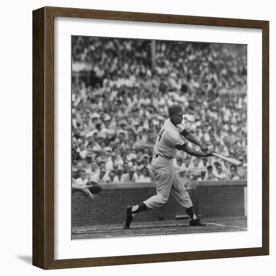 Action Shot of Chicago Cub's Ernie Banks Smacking the Pitched Baseball-John Dominis-Framed Premium Photographic Print