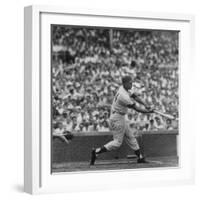 Action Shot of Chicago Cub's Ernie Banks Smacking the Pitched Baseball-John Dominis-Framed Premium Photographic Print