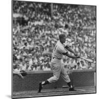 Action Shot of Chicago Cub's Ernie Banks Smacking the Pitched Baseball-John Dominis-Mounted Premium Photographic Print
