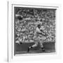 Action Shot of Chicago Cub's Ernie Banks Smacking the Pitched Baseball-John Dominis-Framed Premium Photographic Print