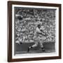 Action Shot of Chicago Cub's Ernie Banks Smacking the Pitched Baseball-John Dominis-Framed Premium Photographic Print
