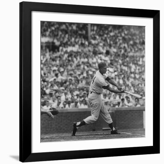 Action Shot of Chicago Cub's Ernie Banks Smacking the Pitched Baseball-John Dominis-Framed Premium Photographic Print