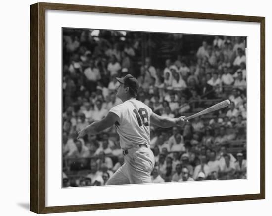 Action Shot of Cincinatti Red's Ted Kluszewski, Following the Direction of Baseball from His Hit-John Dominis-Framed Premium Photographic Print