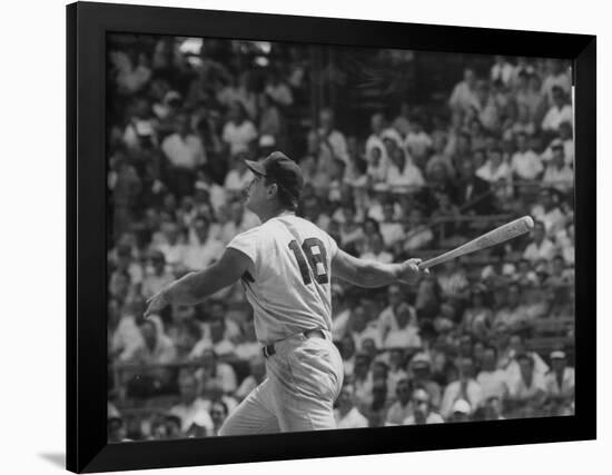 Action Shot of Cincinatti Red's Ted Kluszewski, Following the Direction of Baseball from His Hit-John Dominis-Framed Premium Photographic Print