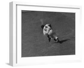 Action Shot of Willie Mays During the Giant Vs. Dodgers Game-Yale Joel-Framed Premium Photographic Print