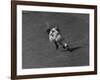 Action Shot of Willie Mays During the Giant Vs. Dodgers Game-Yale Joel-Framed Premium Photographic Print