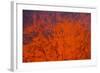 Active Lava Eruption on the Tolbachik Volcano, Kamchatka, Russia, Eurasia-Michael-Framed Photographic Print