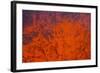 Active Lava Eruption on the Tolbachik Volcano, Kamchatka, Russia, Eurasia-Michael-Framed Photographic Print