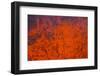 Active Lava Eruption on the Tolbachik Volcano, Kamchatka, Russia, Eurasia-Michael-Framed Photographic Print