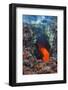 Active Magma in a Stream Below the Tolbachik Volcano, Kamchatka, Russia, Eurasia-Michael Runkel-Framed Photographic Print