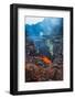 Active Magma in a Stream Below the Tolbachik Volcano, Kamchatka, Russia, Eurasia-Michael Runkel-Framed Photographic Print