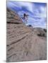Active Male Rides Slickrock Ridge, Utah, USA-Howie Garber-Mounted Premium Photographic Print