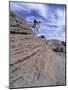 Active Male Rides Slickrock Ridge, Utah, USA-Howie Garber-Mounted Photographic Print