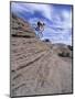 Active Male Rides Slickrock Ridge, Utah, USA-Howie Garber-Mounted Photographic Print