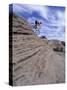 Active Male Rides Slickrock Ridge, Utah, USA-Howie Garber-Stretched Canvas