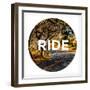 Active Type I-Bruce Nawrocke-Framed Premium Giclee Print