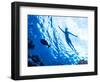 Active Woman Diving in the Sea and Enjoying Wild Nature, Swimming Underwater and Consider Different-Anna Omelchenko-Framed Photographic Print