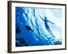 Active Woman Diving in the Sea and Enjoying Wild Nature, Swimming Underwater and Consider Different-Anna Omelchenko-Framed Photographic Print