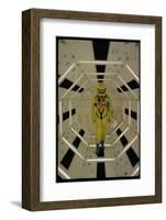 Actor Gary Lockwood in Space Suit in Scene from Motion Picture "2001: A Space Odyssey"-Dmitri Kessel-Framed Photographic Print