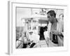 Actor Paul Newman Fishing with a Friend-Mark Kauffman-Framed Premium Photographic Print