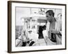 Actor Paul Newman Fishing with a Friend-Mark Kauffman-Framed Premium Photographic Print