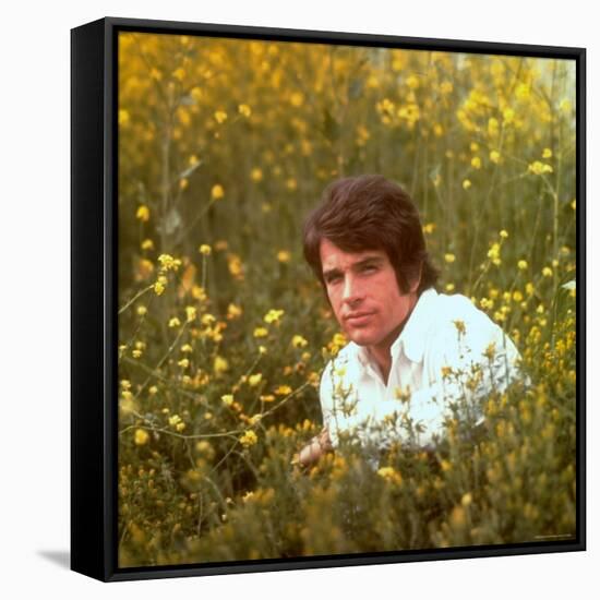 Actor Warren Beatty Sitting in Field of Flowers-Ralph Crane-Framed Stretched Canvas